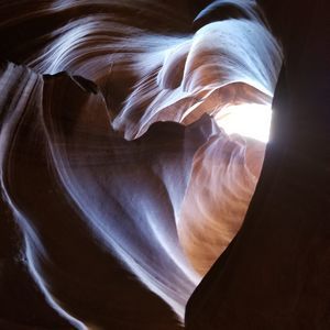 Meet your Posher, Doug